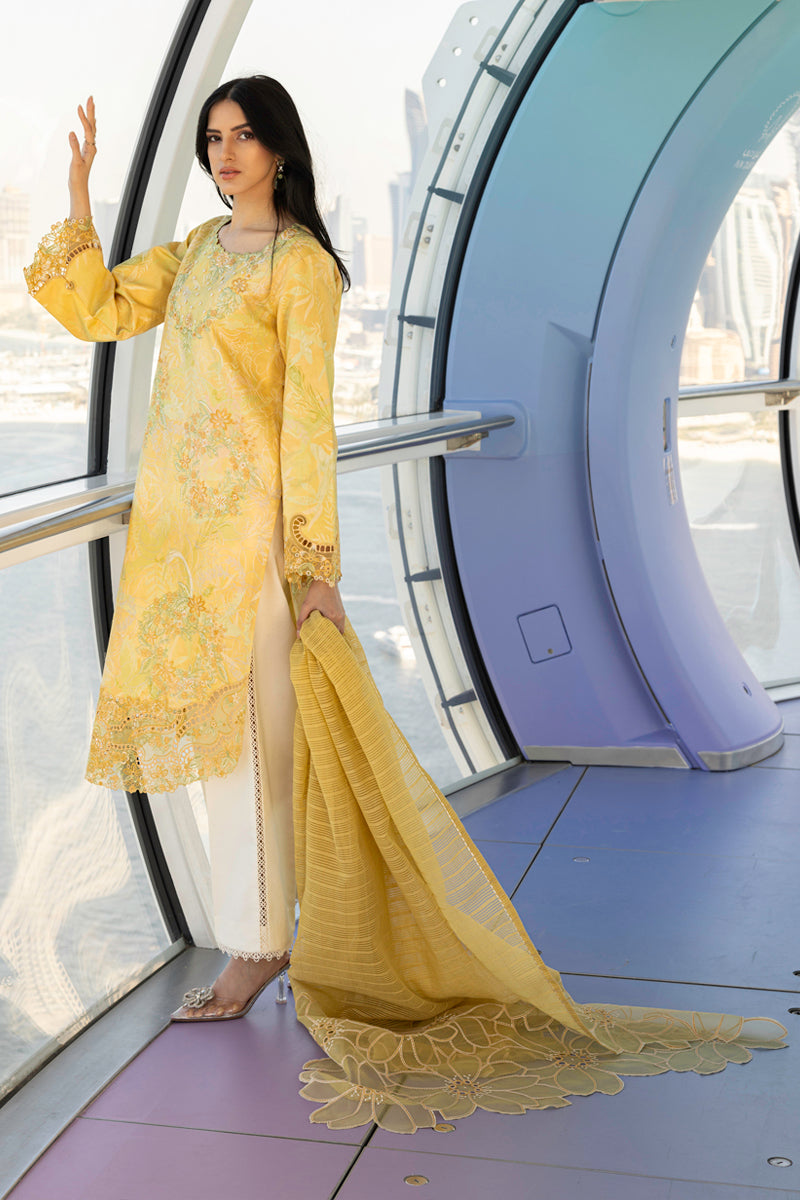 Liana – Rang Rasiya International