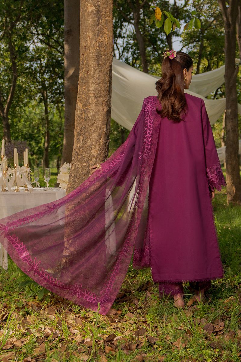 Zaha – Rang Rasiya International